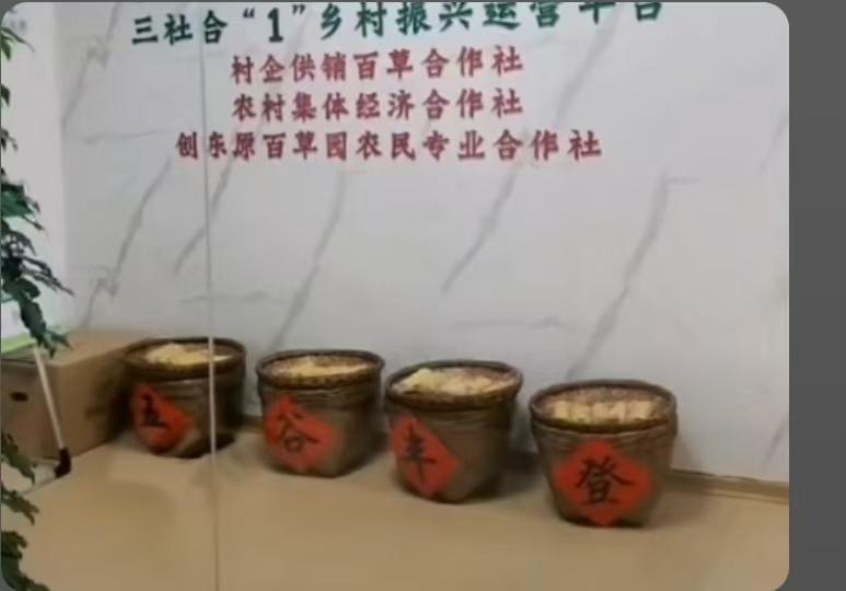 创东原百草园简介