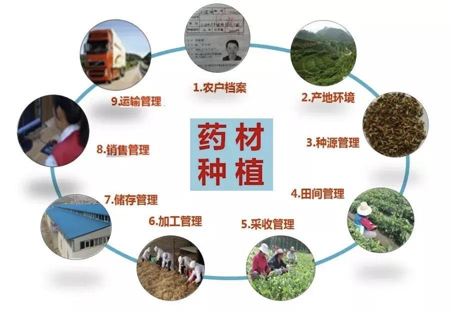 创东原百草园--种植管理